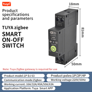  Circuit Breaker 1P DJ 63 Timer Switch