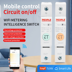 TUYA Smart Wifi Circuit Breaker 2P 63A RDCBC ZJ