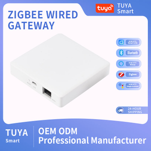 5V1A Zigbee Wired Gateway THP10-Z-V2 With Micro USB