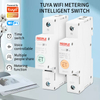 TUYA Smart Wifi Circuit Breaker 2P 63A RDCBC ZJ