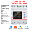 SINGLE PHASE WIFI SMART ENERGY METER RMDZW-3PNB100AWIFI